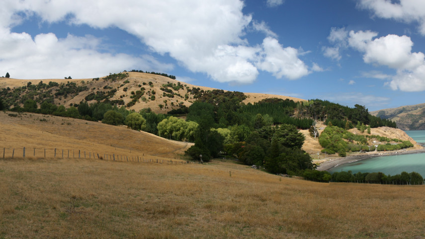 Takapuene Reserve wide view