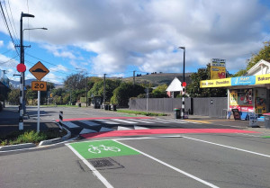 raised pedestrian zebra crossing