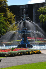 Peacock Fountain flowers