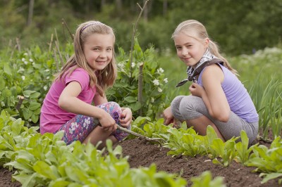 School garden