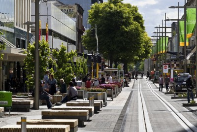 trees in the retail district