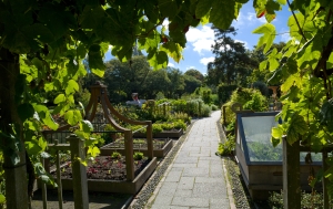 Curator's House Vegetable and Herb Garden