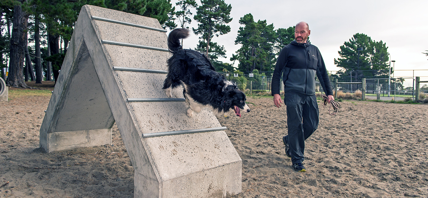 dog jumping over play equipment