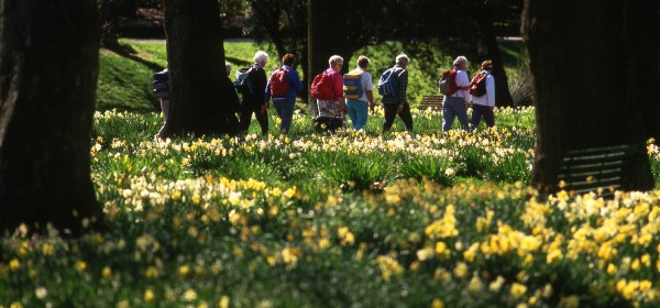 Hagley Park and Gardens Loop