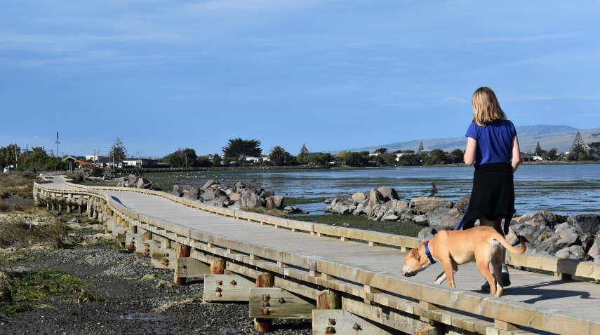 Estuary Edge Walk