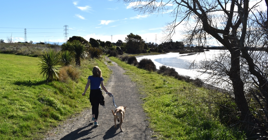 Ōpāwaho River Track