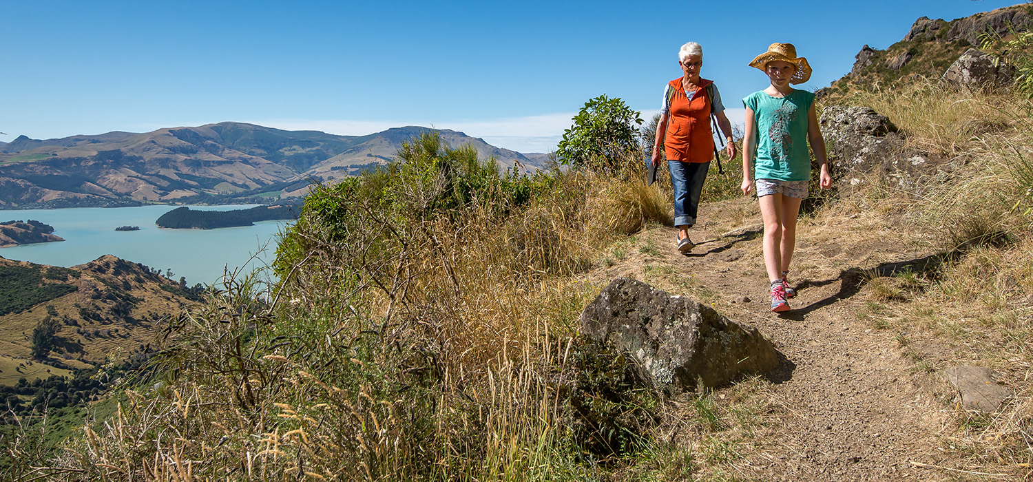 people walking on Coronation Hill