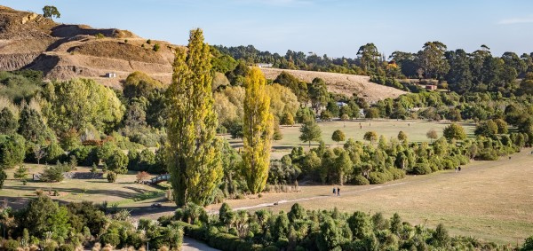 hills and trees