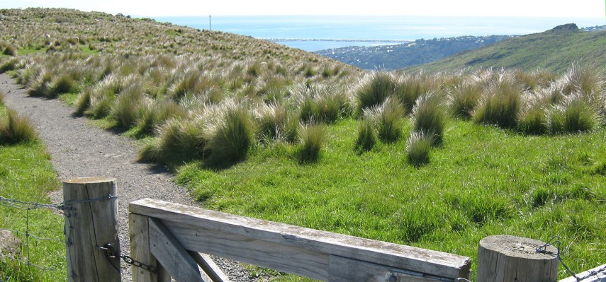 track with gate