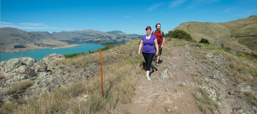 Walkers on the Crater Rim, Evans Pass to Godley Head. 