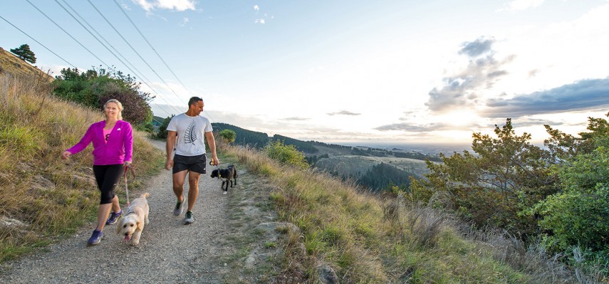 people walking dogs on track