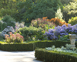 Herbaceous Border