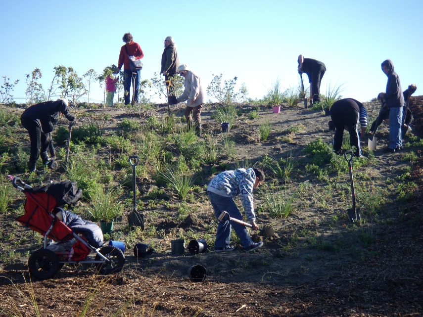 Planting