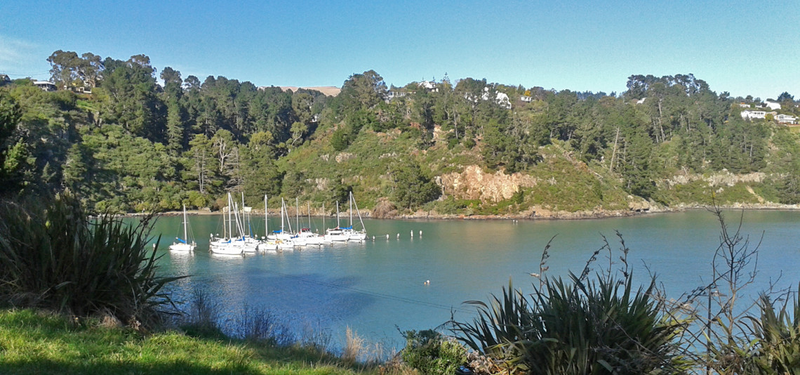 View from the Coastal Cliffs Walkway