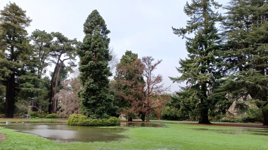 Flooded park