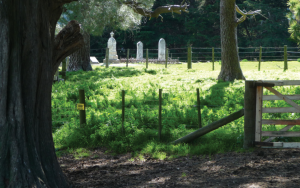 Pigeon Bay Cemetery