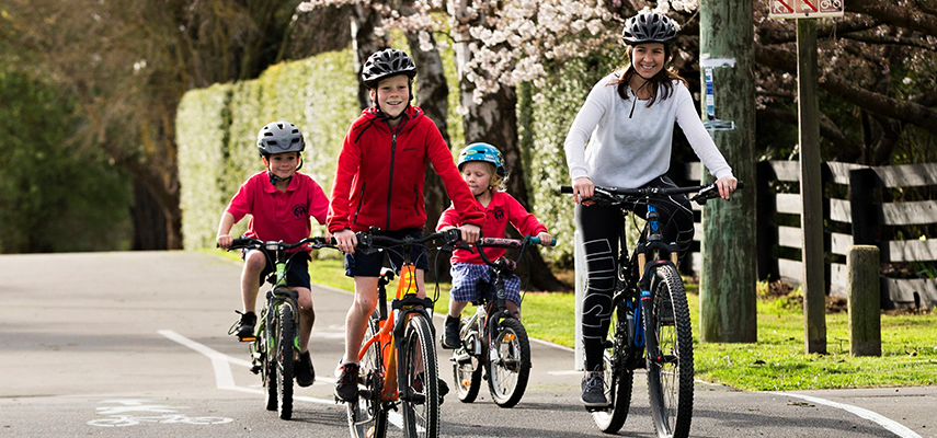 Family riding bikes on road