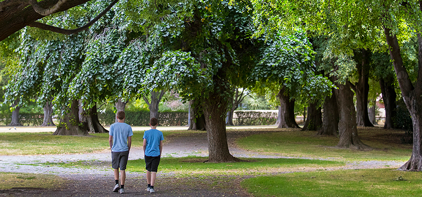 People walking in a park