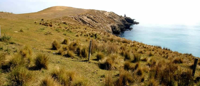 Te Oka Reserve 1